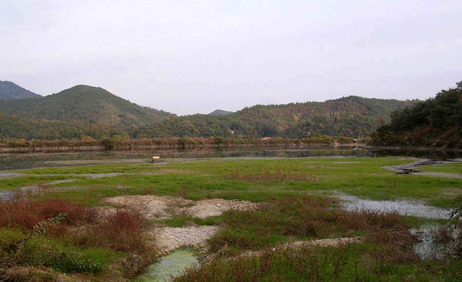 v02.jpg