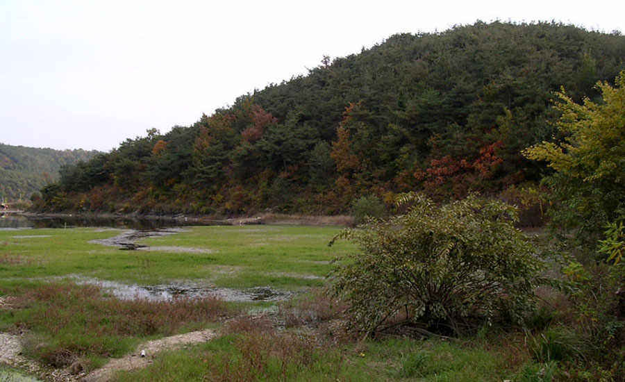 v03.jpg
