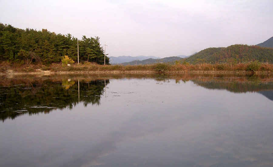 v04.jpg