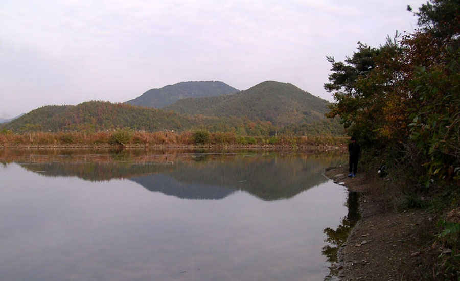 v06.jpg