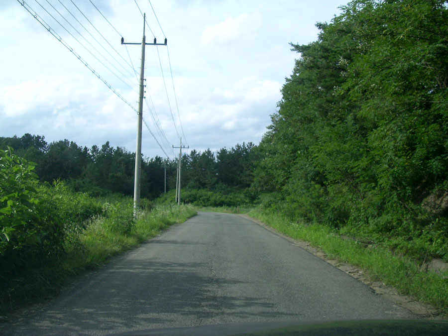 x06.jpg