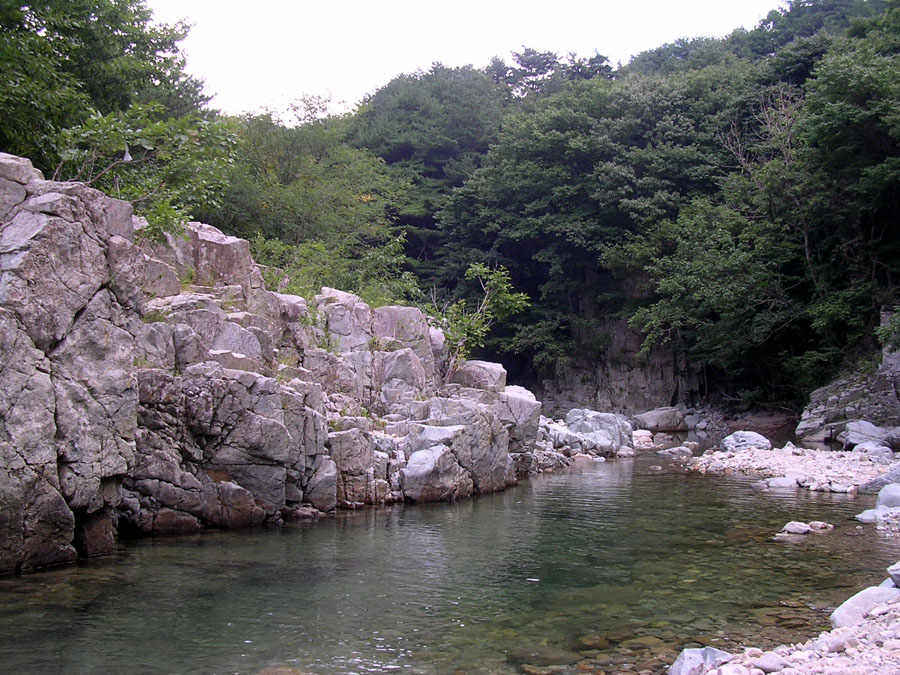 z03.jpg