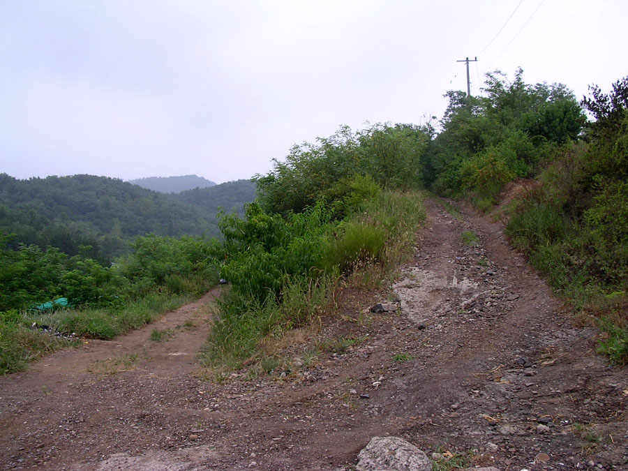 z12.jpg