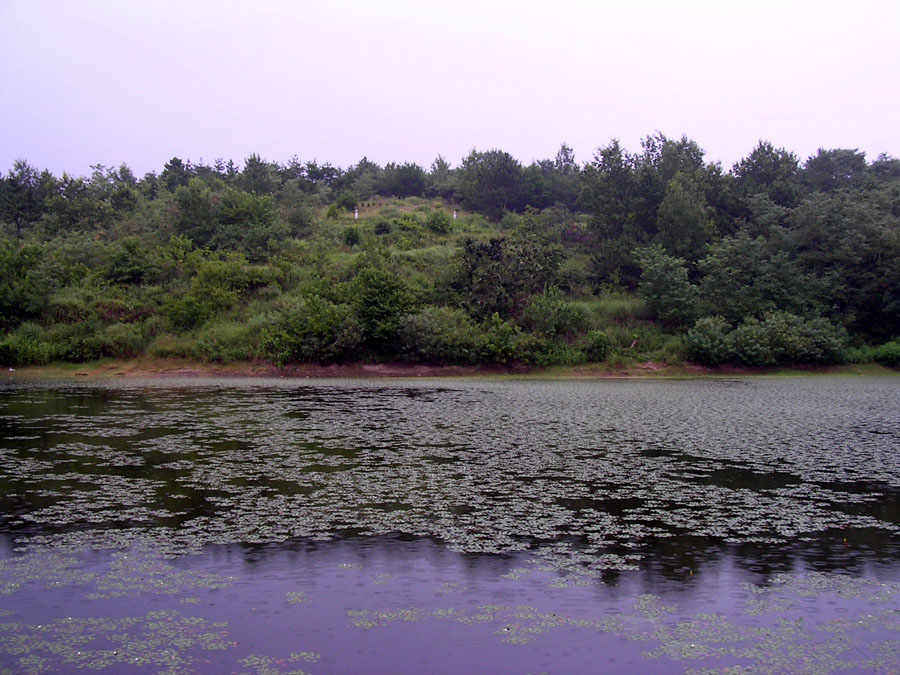 z27.jpg