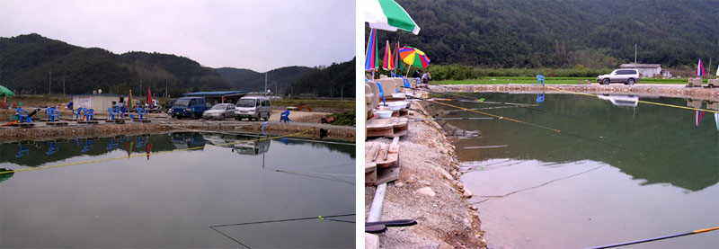 04.jpg