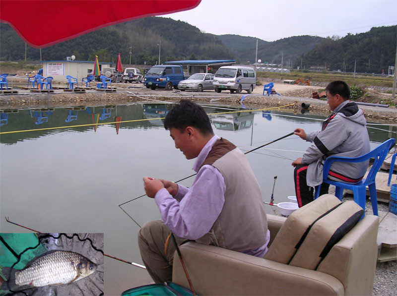06.jpg