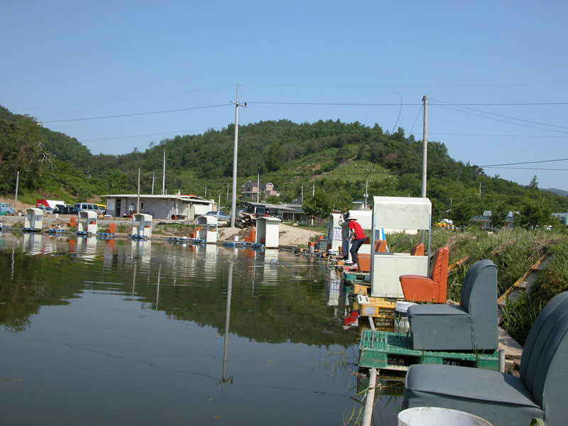 a001.jpg