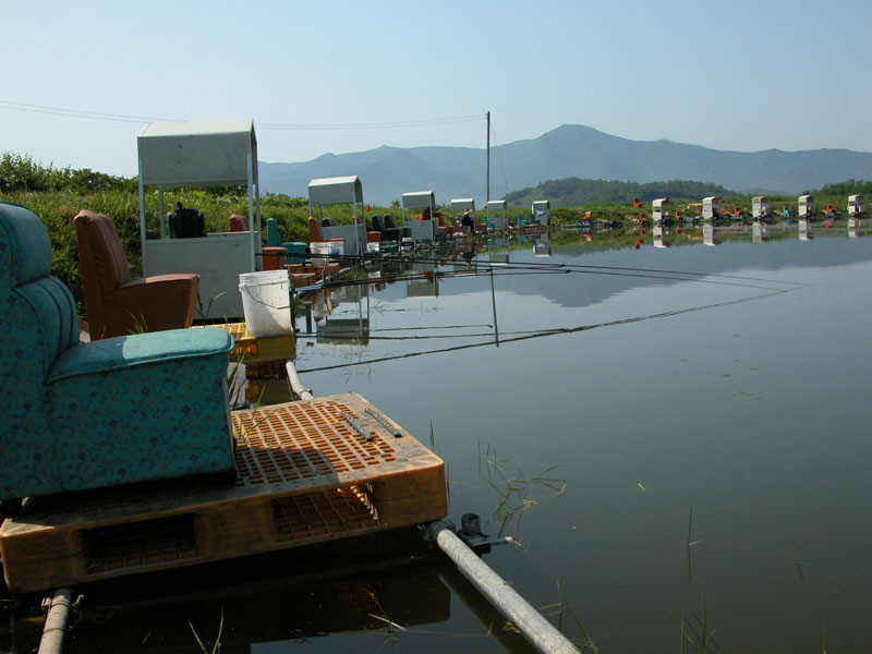 a003.jpg