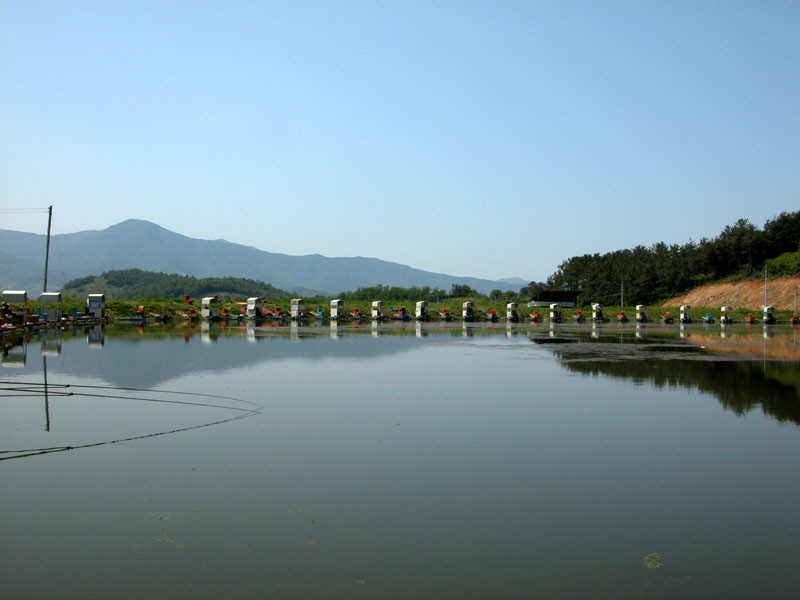a005.jpg