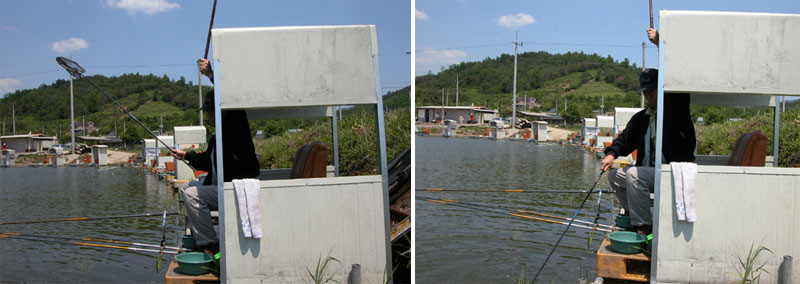 a009.jpg