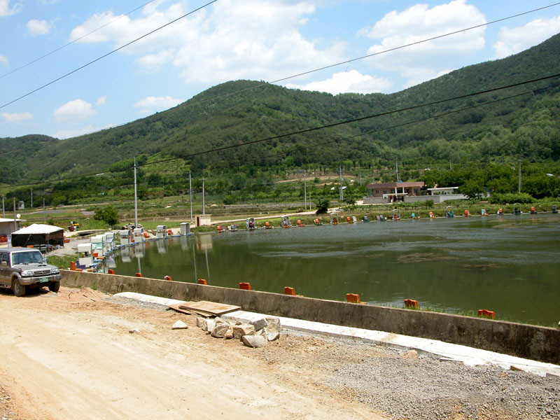 a011.jpg