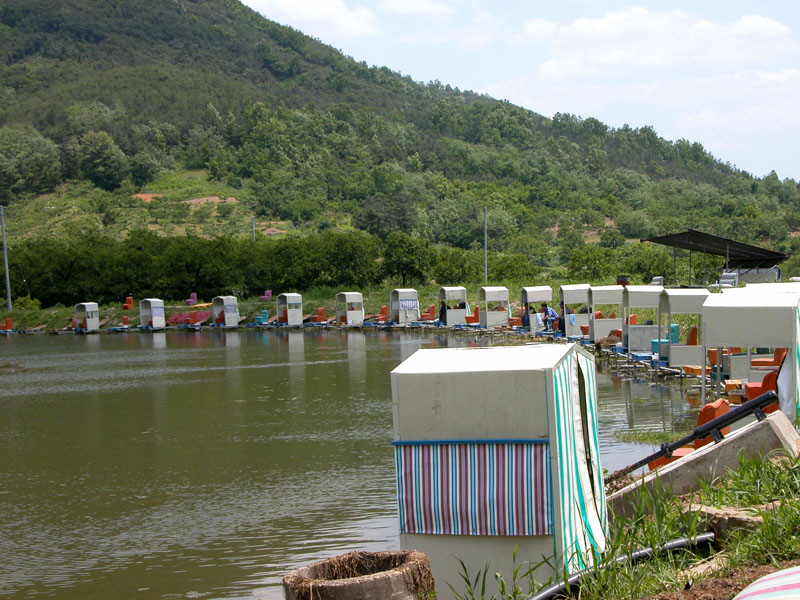 a013.jpg