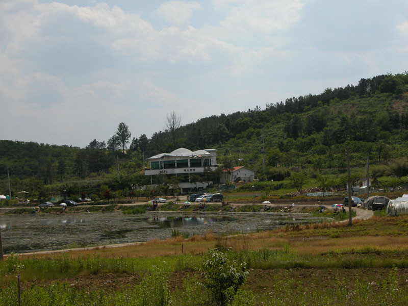 a015.jpg