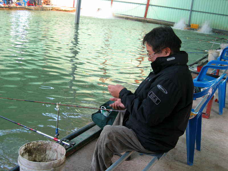 a04.jpg