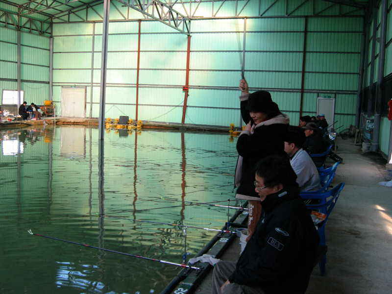 a09.jpg