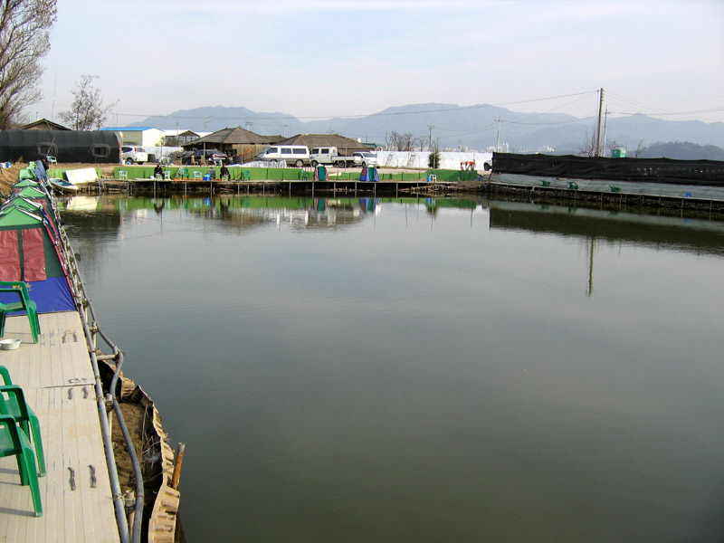04.jpg