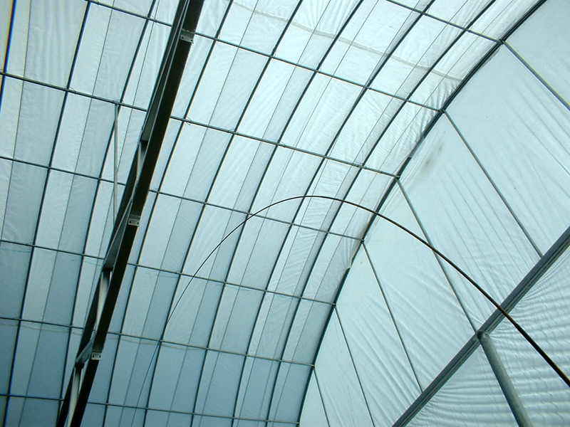 05.jpg