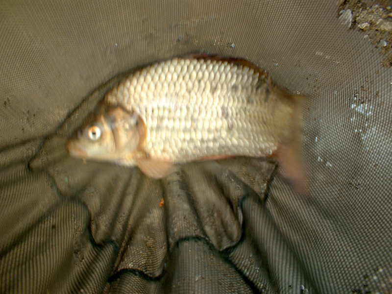 07.jpg