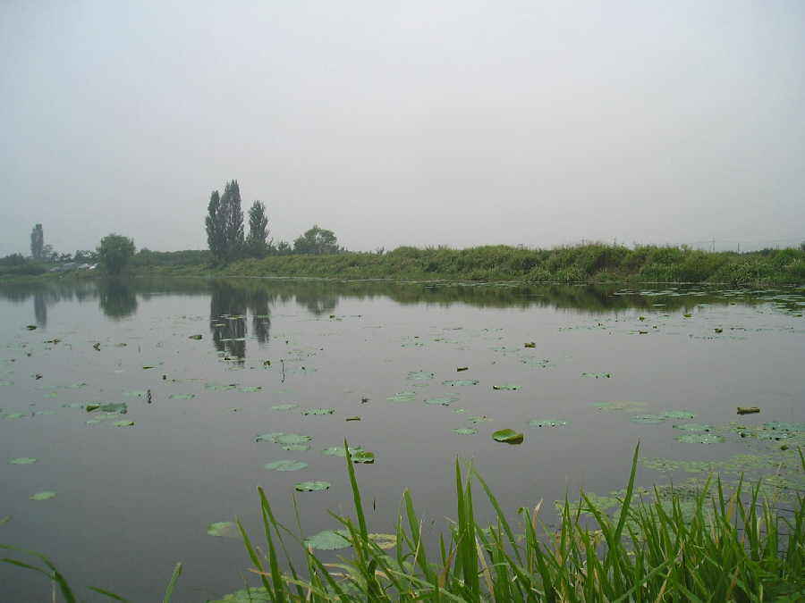 01.jpg