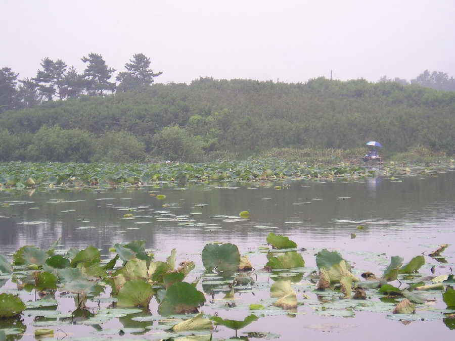 02.jpg