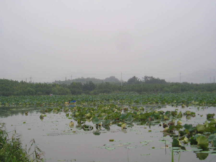 03.jpg