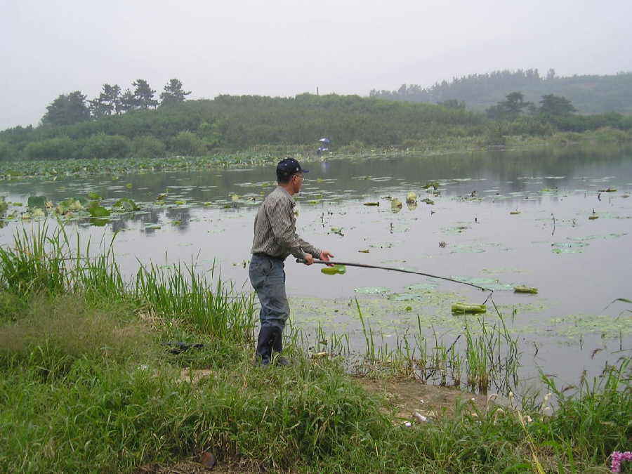 a01.jpg