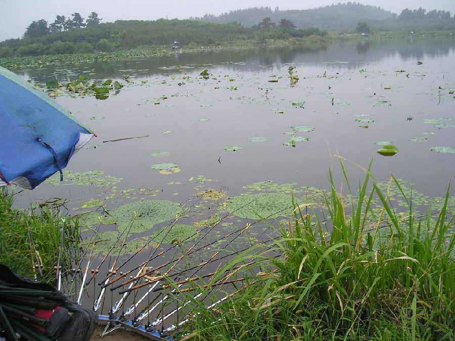 a02.jpg