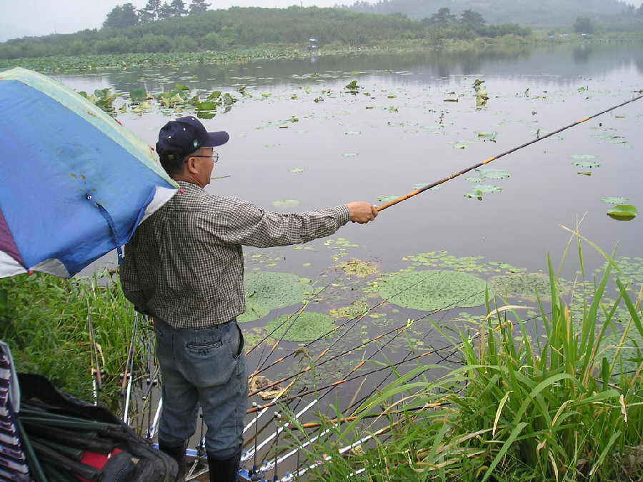 a04.jpg
