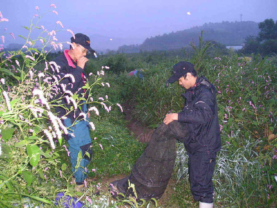 b08.jpg