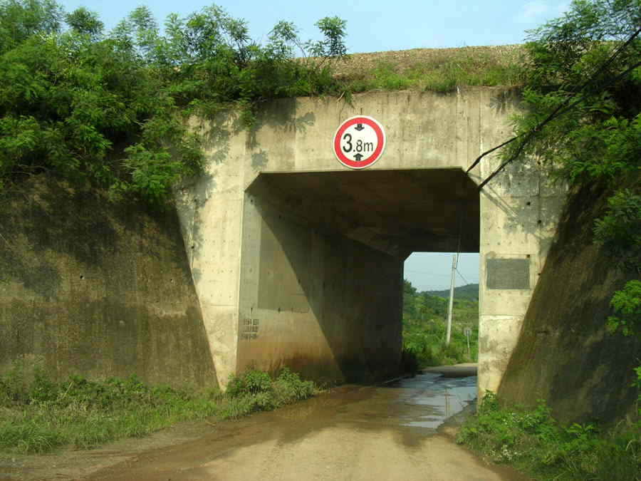 z01.jpg