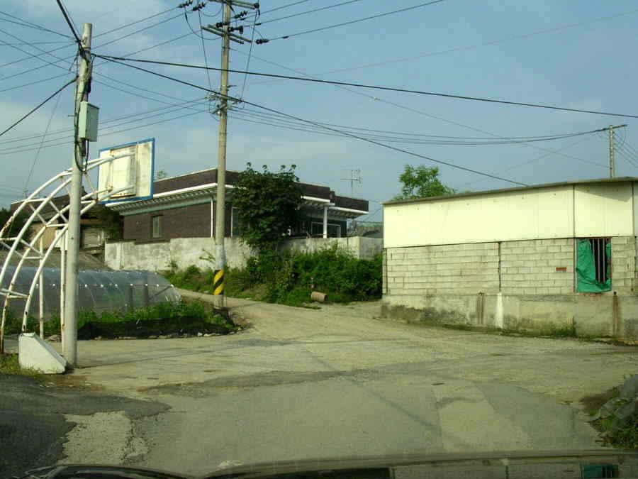 z02.jpg