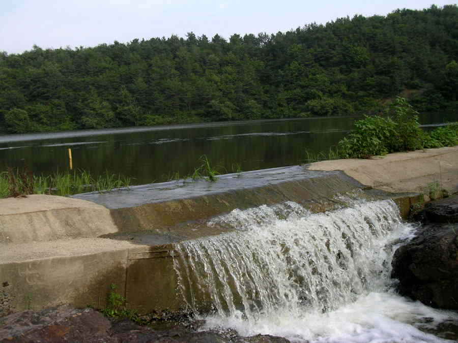 z04.jpg
