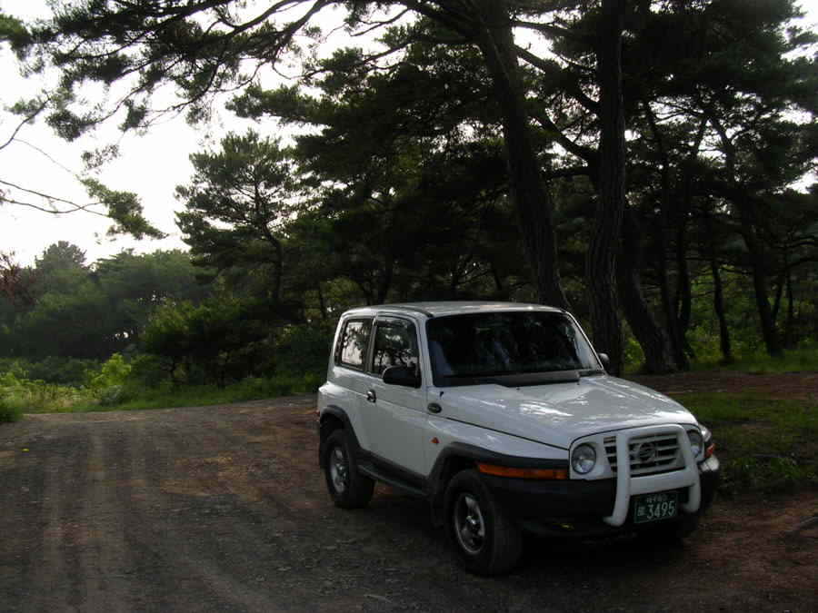 z07.jpg