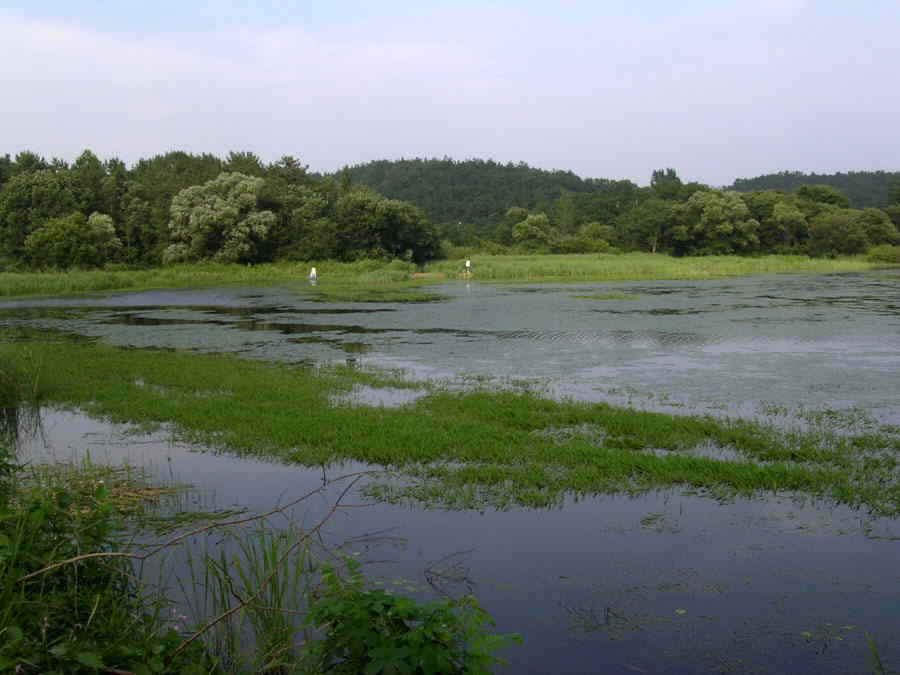 z09.jpg