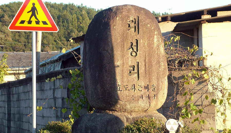 06.JPG