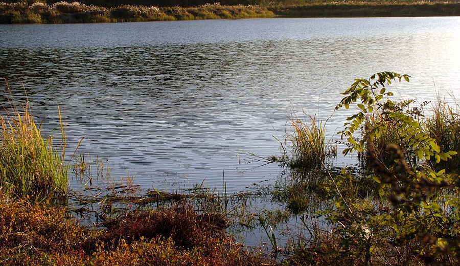 08.JPG