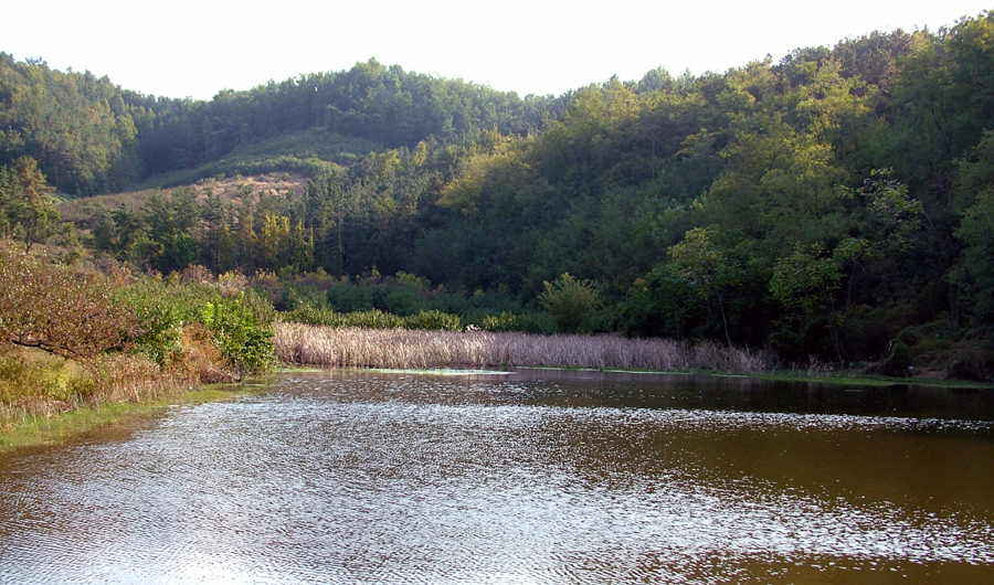 05.JPG