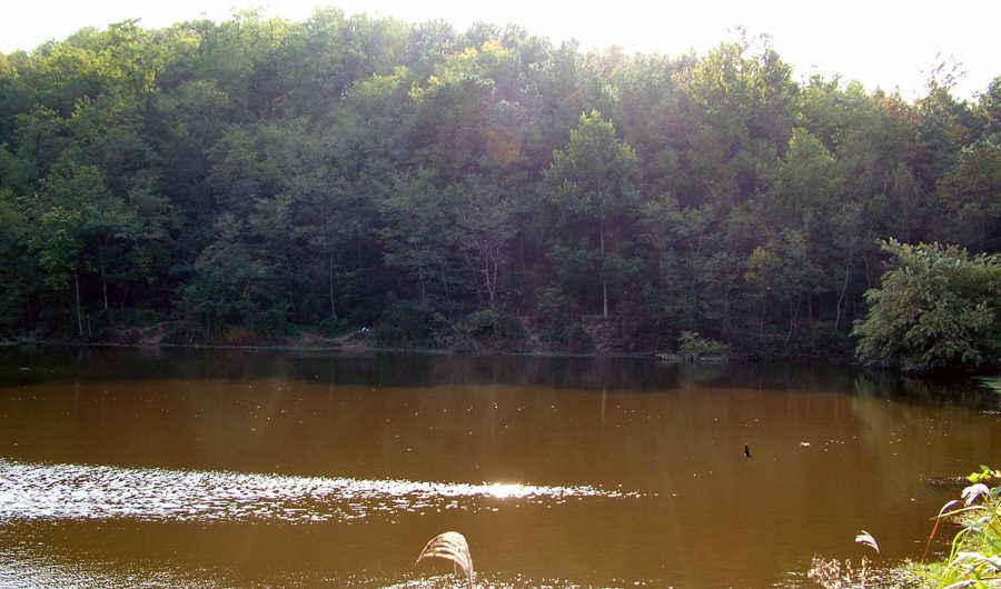 06.JPG