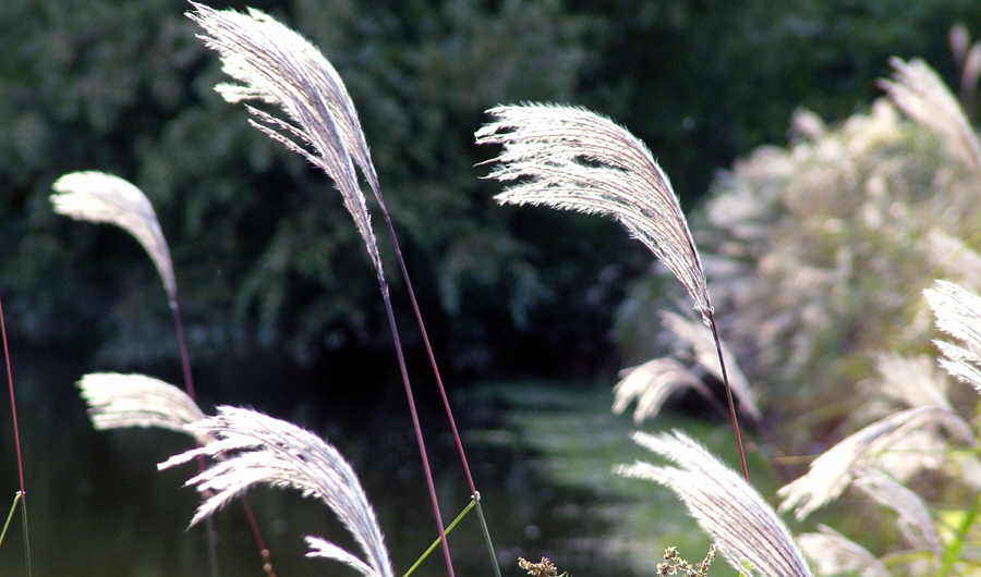 07.JPG