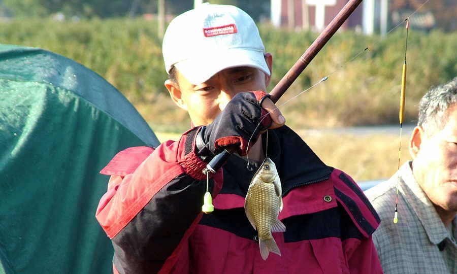 050.JPG