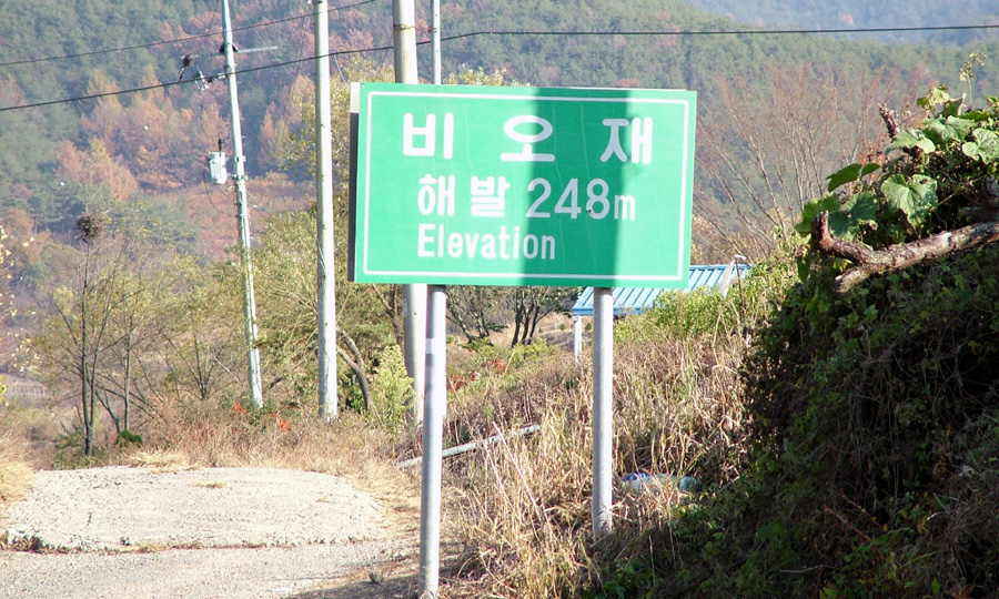 002.JPG