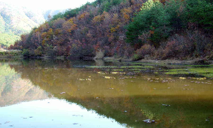 006.JPG