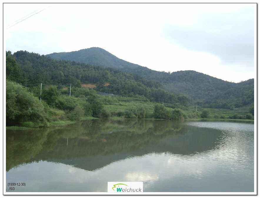 06.JPG