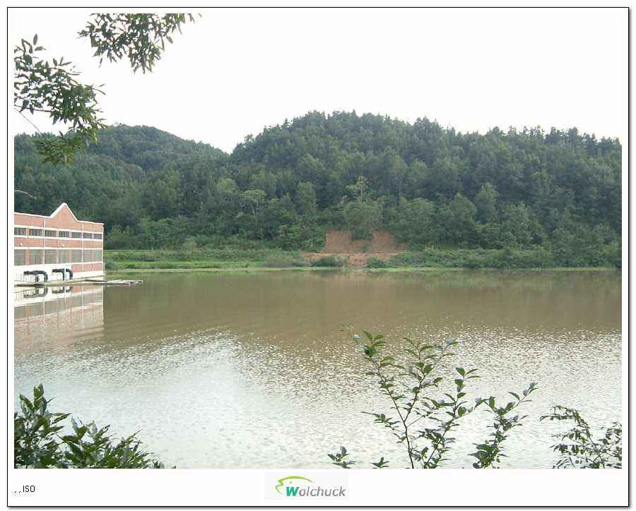 04.JPG