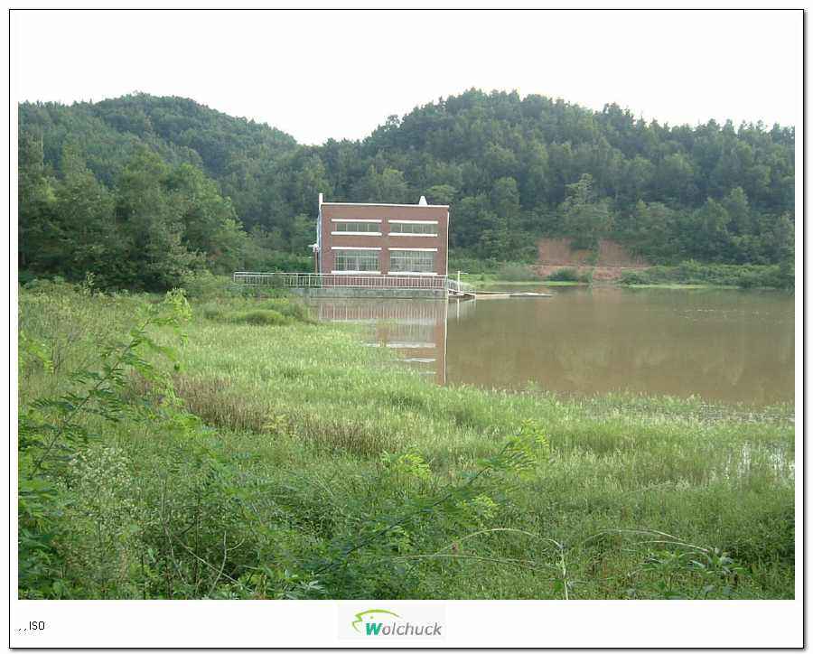 05.JPG