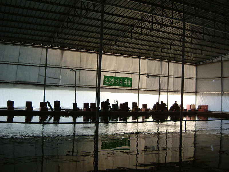 DSCF0003.JPG