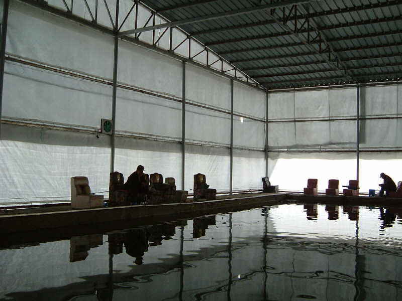 DSCF0004.JPG