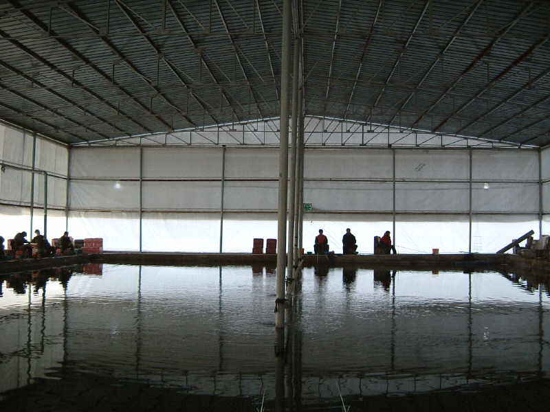 DSCF0005.JPG