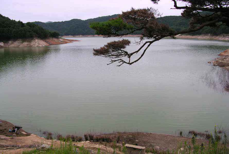 Dscn2191.jpg