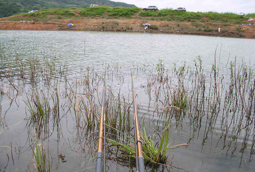 Dscn2197.jpg